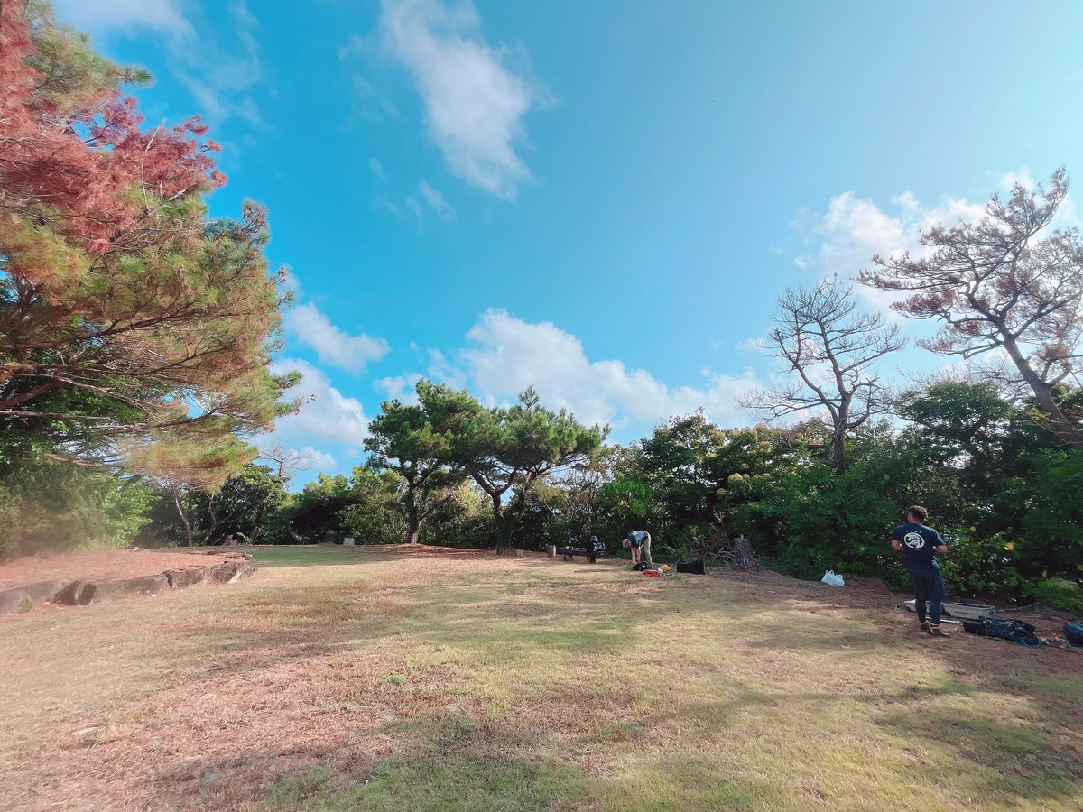 tree_Aid_Japan's tweet photo. 風の帰る森

駐車場から 舗装されていない道を上がってきたら 広い芝生のスペースがあり
そこに居ます。 https://t.co/5O2AsLkLOw