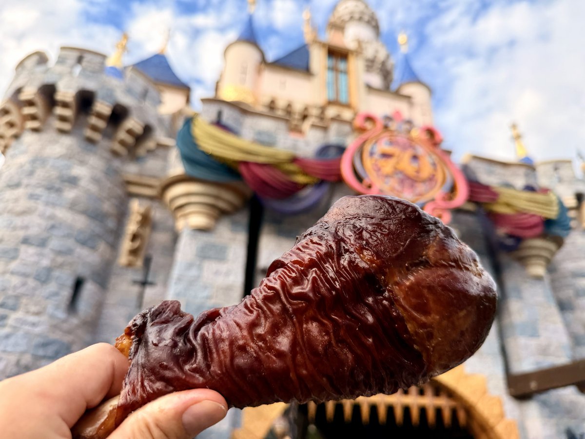 JoshSchlottman's tweet photo. Starting the Disneyland / paleo / keto /carnivore diet #turkeyleg https://t.co/jq77BaWmwY