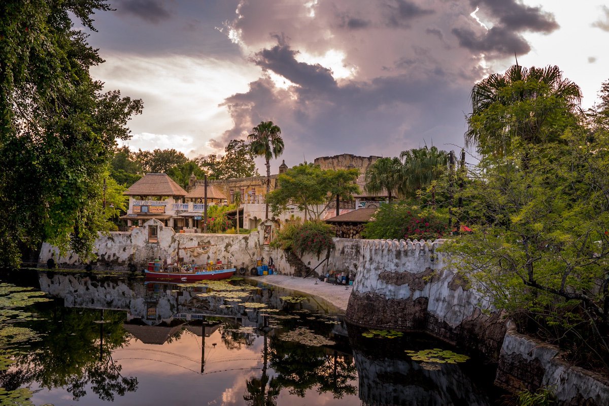 Here it is… your daily moment of Disney zen 

📸 <a href="/ChrisWhitePE/">Chris White</a>