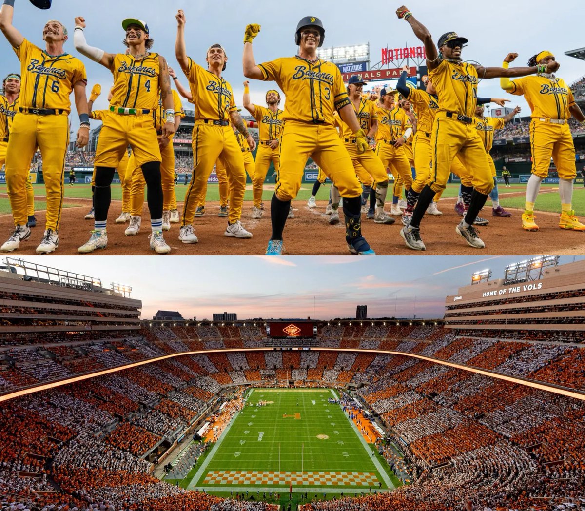 BREAKING: The Savannah Bananas will play inside Neyland Stadium on May 23.