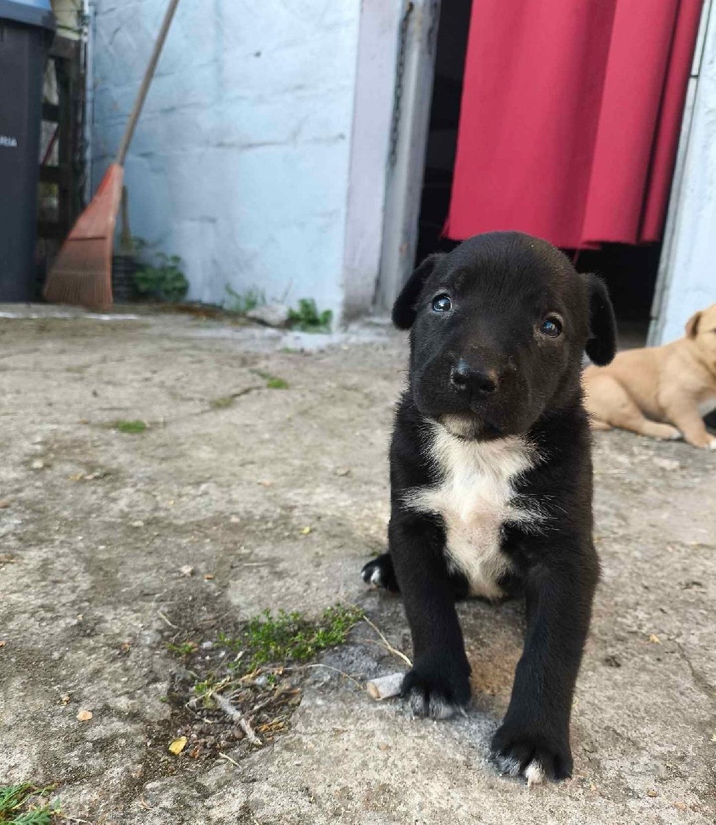 Taponto App tweet media