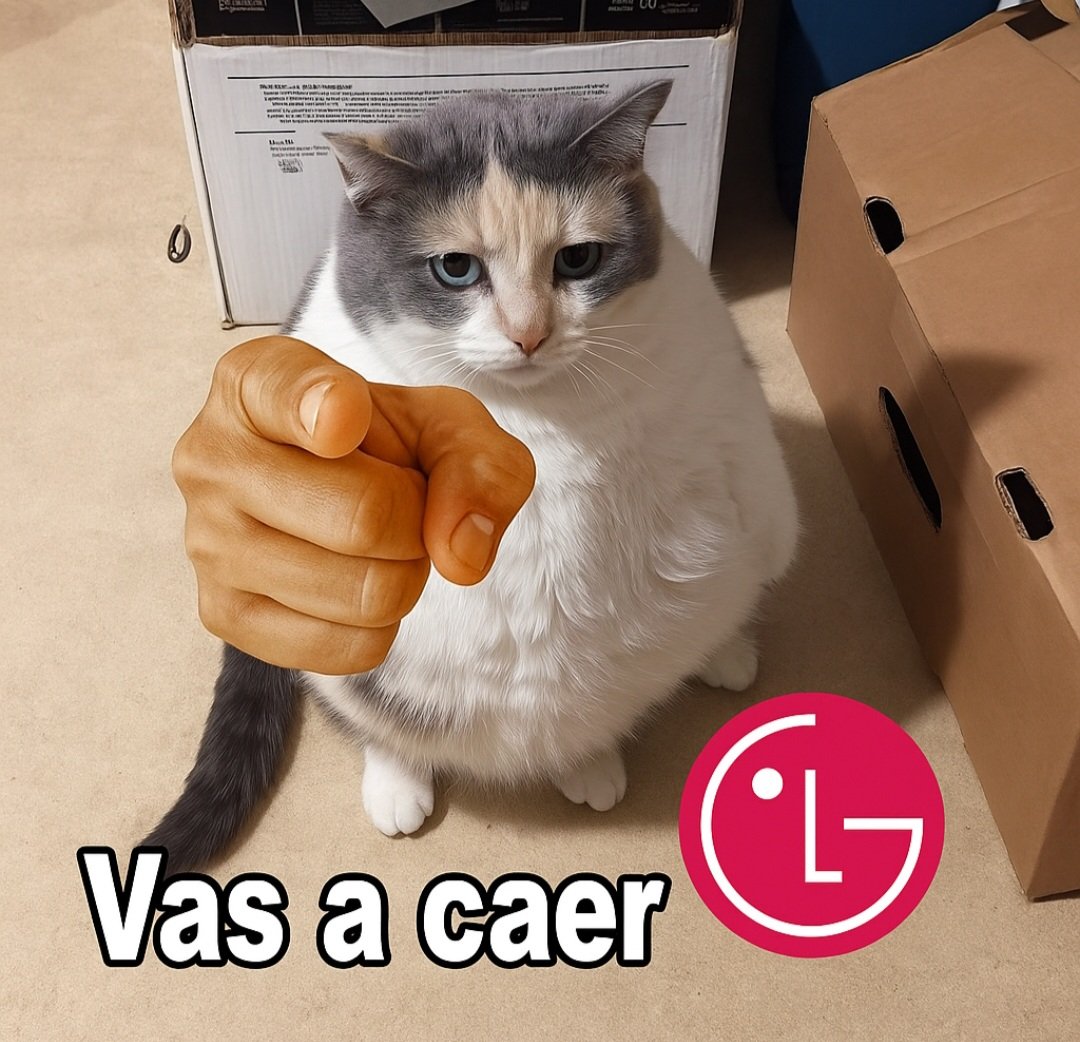 AGL VASTIOS tweet media