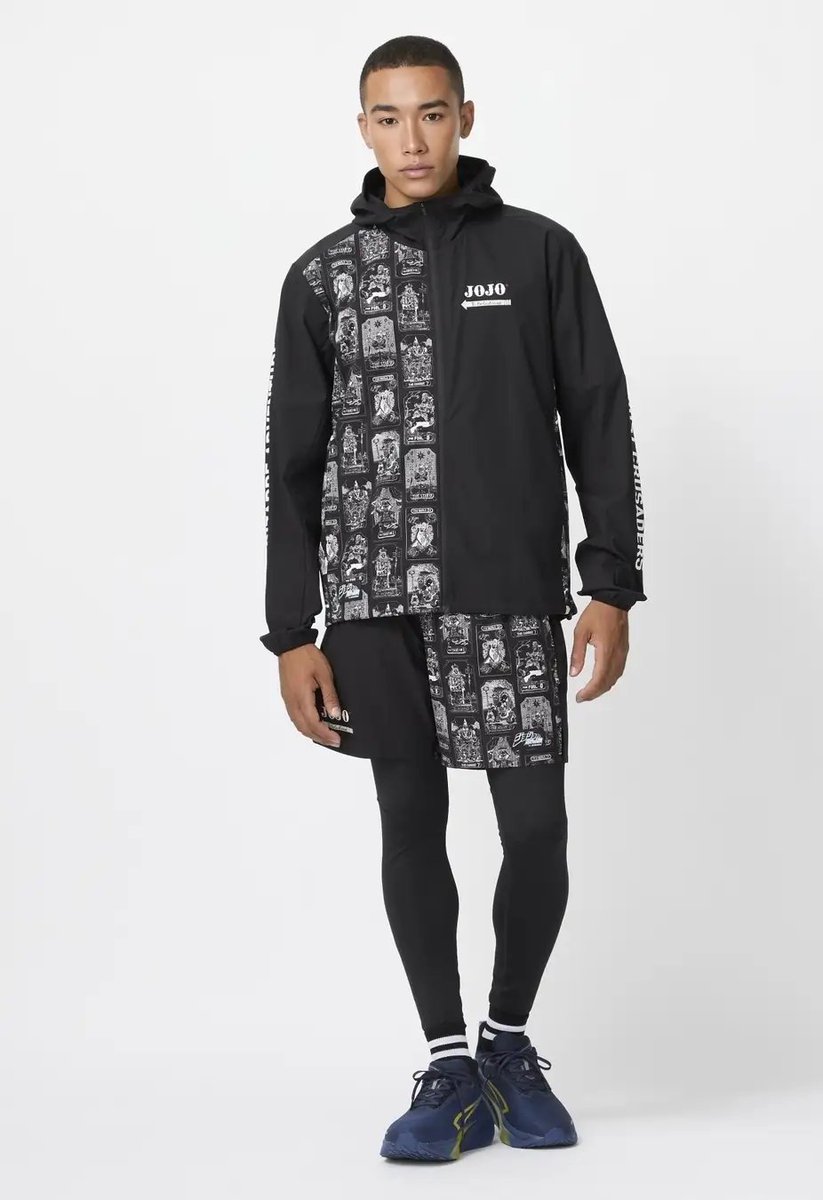 ジョジョ　がく ジョジョの奇妙な冒険 スターダストクルセイダース 描き下ろし