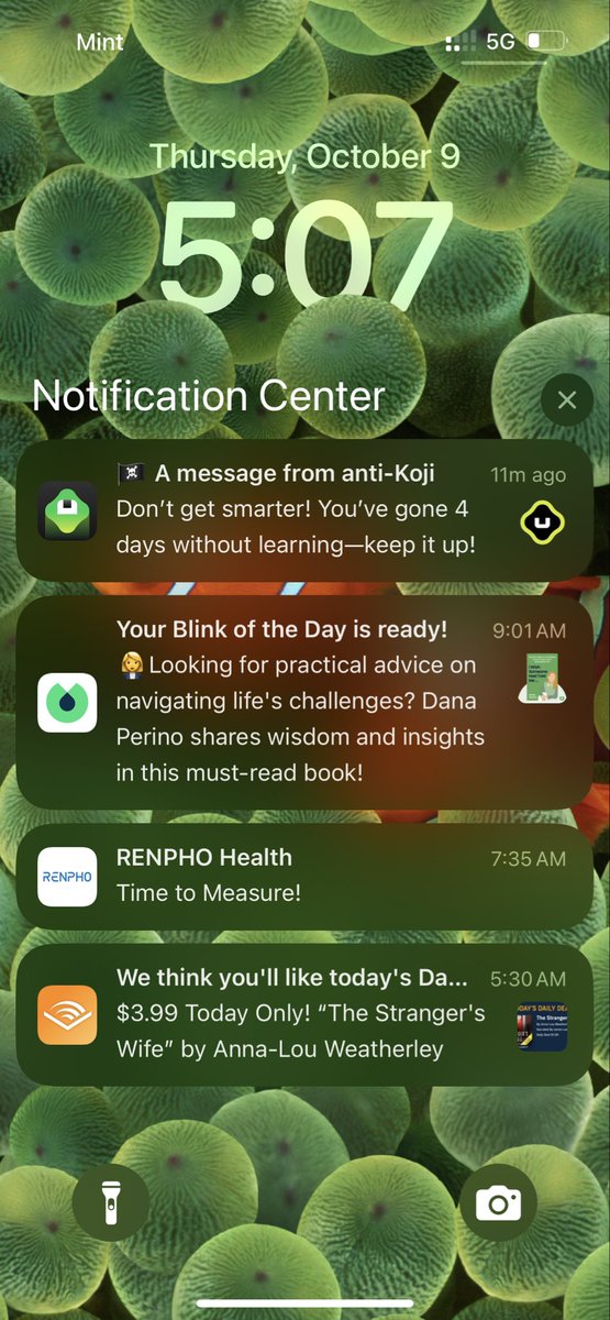 Which notification do you think is most effective?