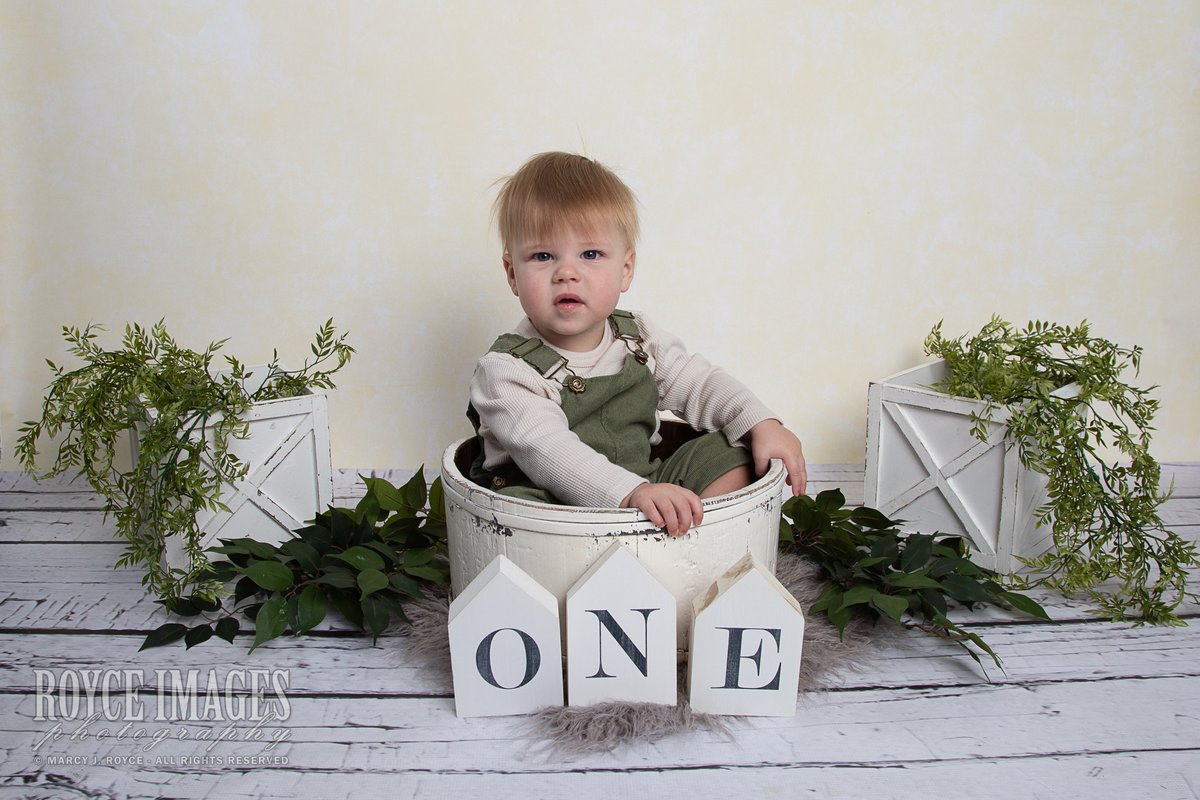 royceimagephoto's tweet photo. It's so much FUN to be ONE! Happy Birthday, dear Weston!

#childphotographeryorkpa #royceimagesphotography #childphotoshoot #yorkpaphotographer #yorkpachildphotographer https://t.co/beKGk9ac5q