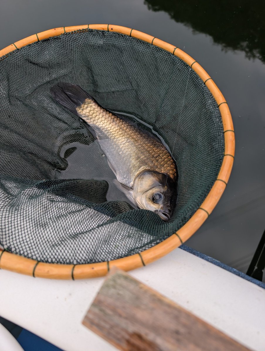 へら鮒釣具冨田 (@oNHYXIABVc18829) / X