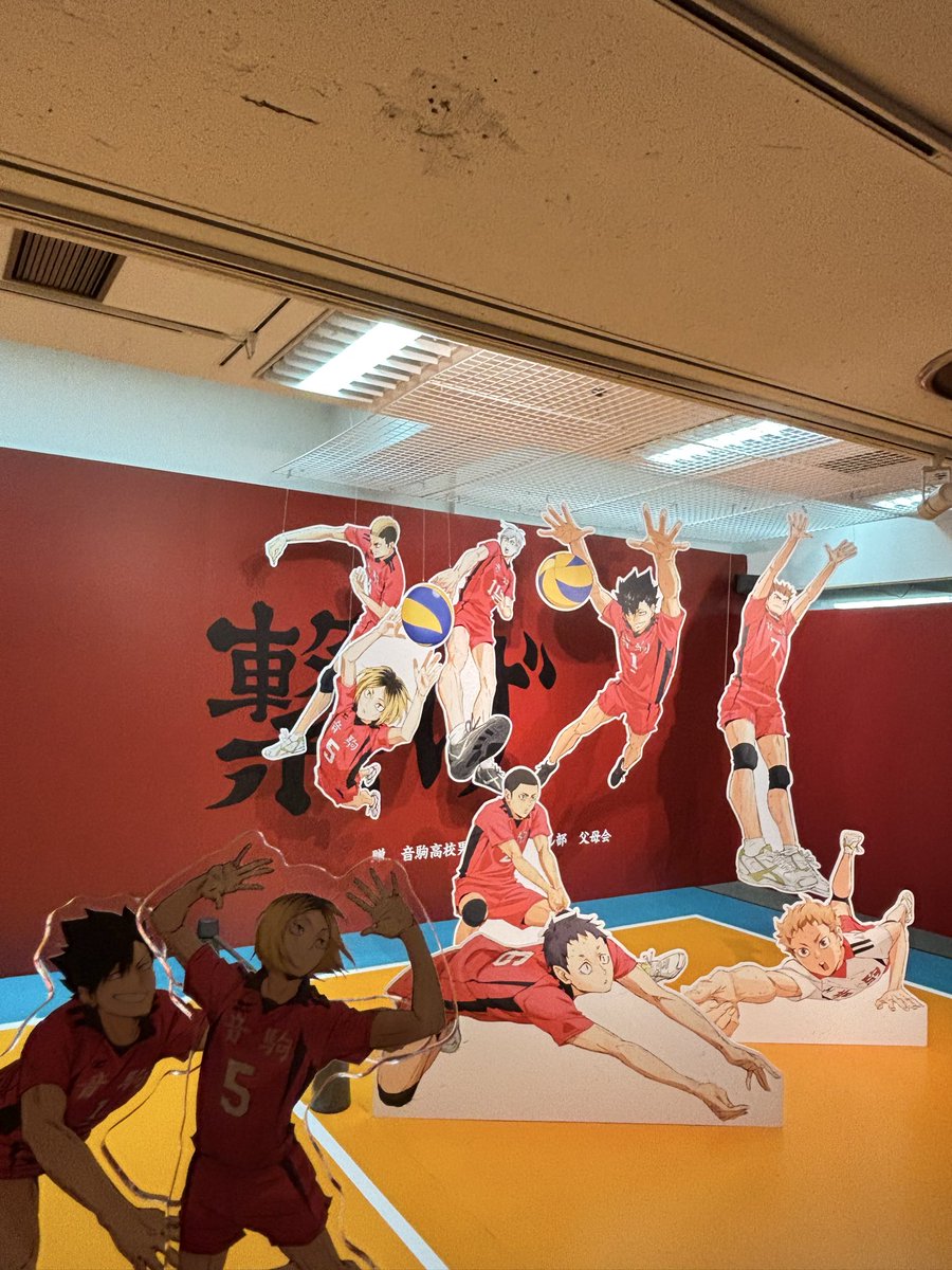 ドッピオさんハイキュー見てるらしくて幸💞
早くゴミ捨て場まで来て欲しいですね🎶