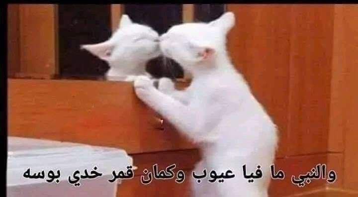 Nelly Kamal (@nellykamal9) on Twitter photo 