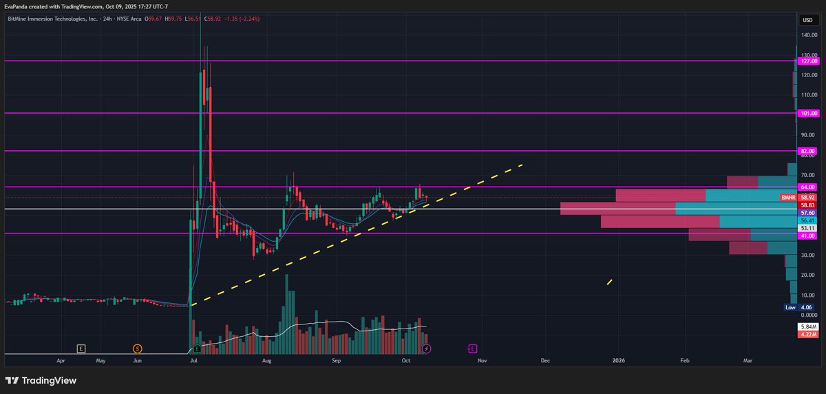 EvaPanda tweet media