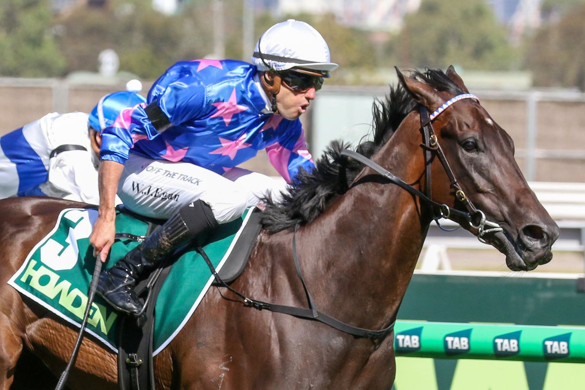 NEWS: Trainer Dominic Sutton says Super Seth gelding Feroce is ideally suited to the mile of Saturday's Gr.1 Toorak Handicap.

racingnews.co.nz/feroce-suited-…