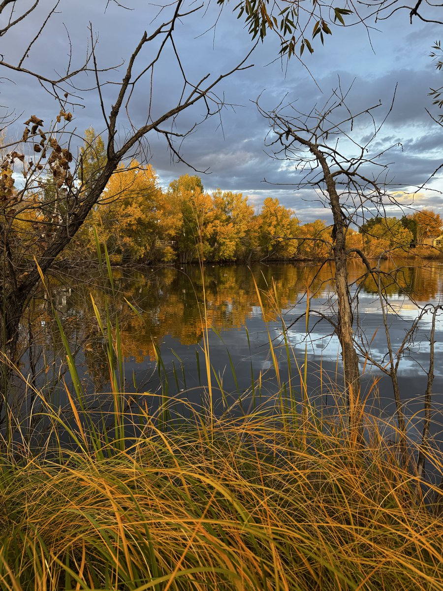 On my walk tonight.  #Colorado