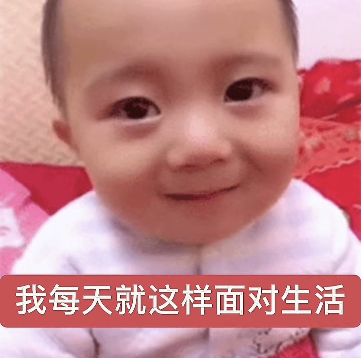 DouBao8964's tweet photo. 这真是我每天状态 https://t.co/oNsxauxmcZ