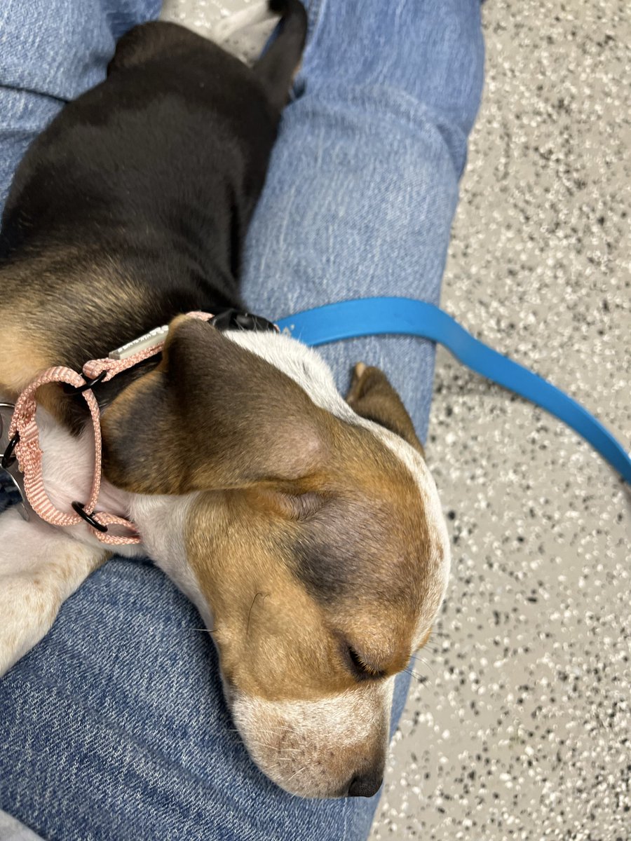 chrtzn's tweet image. I am legally required to not move my leg.