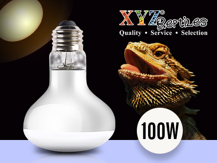 XYZReptiles tweet media