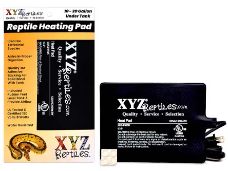 XYZReptiles tweet media