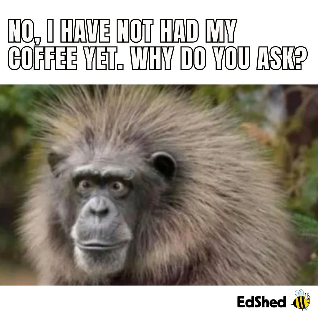 EdShedUS's tweet photo. ☕😅😆

#teacherthings #teachermemes #teachers #educators https://t.co/4ffu2N7Ely