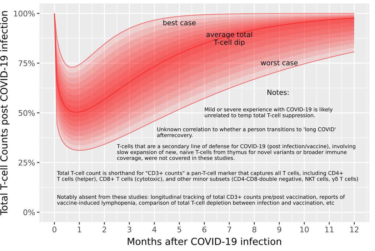 Total T-cells dip after a COVID-19 infection They then recover slowly. They don't dip after vaccination. There's a  **hypothetical** model that can create a "depletion and recovery" graph...