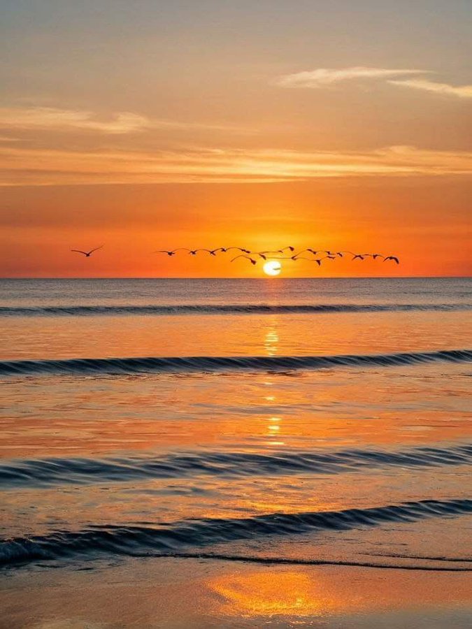 craiyoung's tweet image. youtu.be/m-9bVJfrmY8