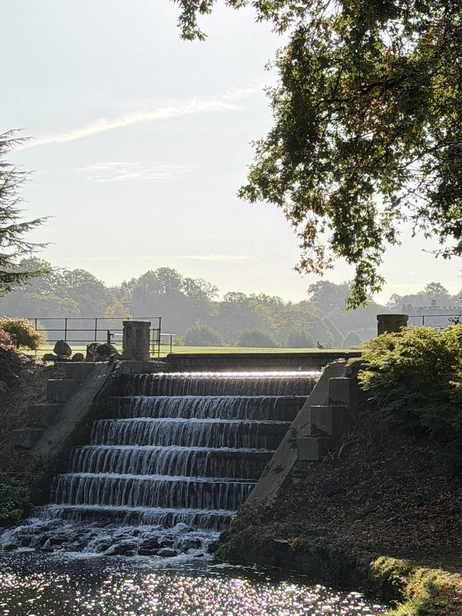 Ange Ham MBE tweet media