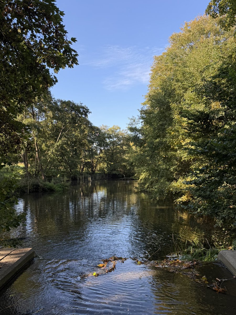 Ange Ham MBE tweet media