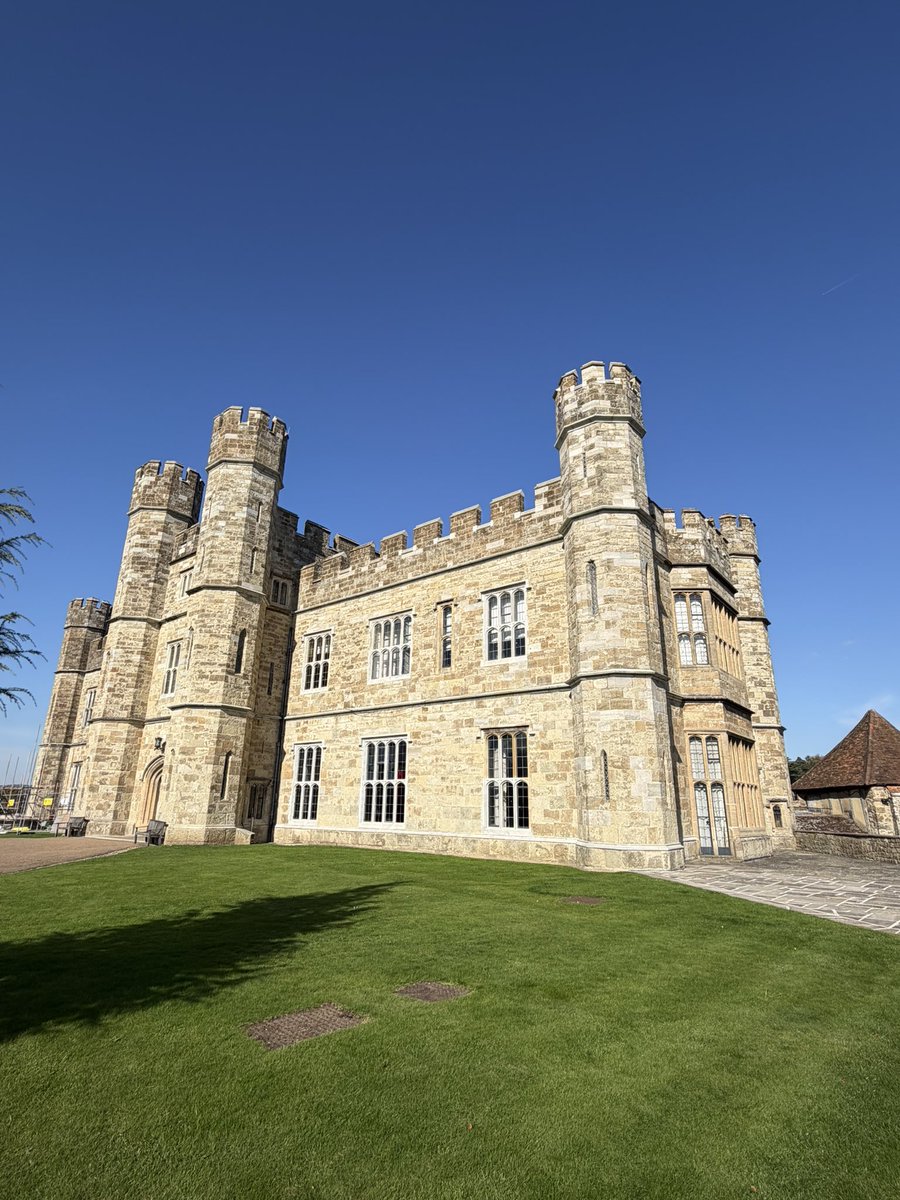 Ange Ham MBE tweet media