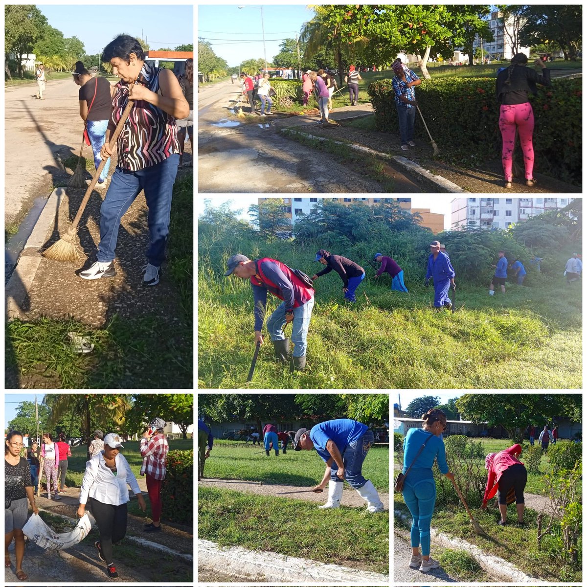 Hoy en #LaSierpe hombres y mujeres se volcaron a la limpieza del municipio.
#SanctiSpíritusEnMarcha <a href="/PartidoPCC/">Partido Comunista de Cuba</a> <a href="/AsambleaCuba/">Asamblea Nacional Cuba</a> <a href="/DiazCanelB/">Miguel Díaz-Canel Bermúdez</a> <a href="/DrRobertoMOjeda/">Dr. Roberto Morales Ojeda</a> <a href="/anamarianpp/">Ana Mari Machado</a> <a href="/HomeroAcostaA/">Homero Acosta Álvarez</a> <a href="/YaimaValle1/">Yaima Valle🇨🇺❤️</a> <a href="/EduardoLopezL65/">Eduardo López Leyva</a> <a href="/DeivyPrezMartn1/">Deivy Pérez Martín</a> <a href="/AlexisLorente74/">Alexis Lorente Jiménez</a> <a href="/Carlos_GRguez/">Carlos Gutiérrez Rodríguez</a>