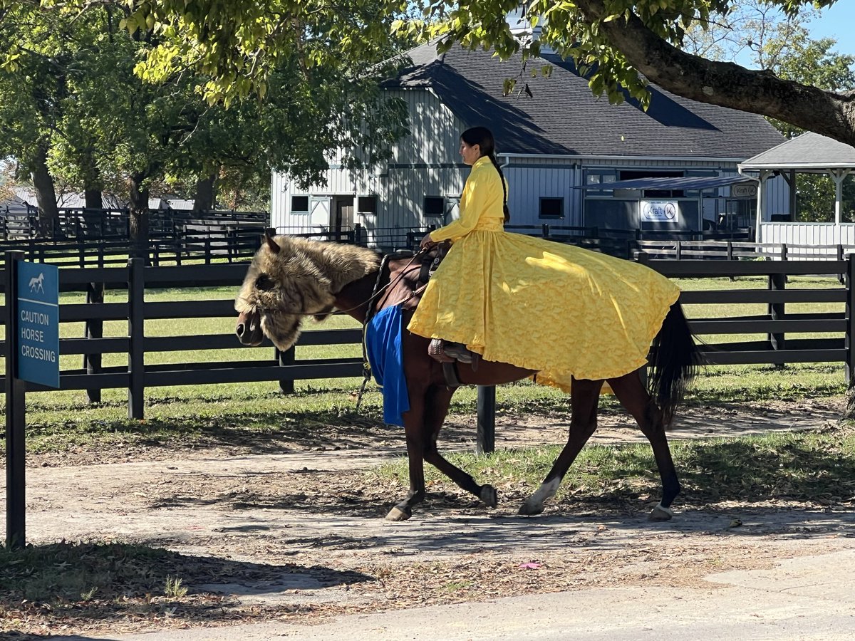 Joe Nevills (@joe_nevills) on Twitter photo You never know what you’ll see walking toward the Covered Arena when it’s Freestyle time at the <a href="/RRP_TBMakeover/">Retired Racehorse Project</a>. Here is rider Afnan Alhilali aboard Oklahoma-bred Ponza with a VERY involved Beauty and the Beast getup. You never know what you’ll see walking toward the Covered Arena when it’s Freestyle time at the <a href="/RRP_TBMakeover/">Retired Racehorse Project</a>. Here is rider Afnan Alhilali aboard Oklahoma-bred Ponza with a VERY involved Beauty and the Beast getup.