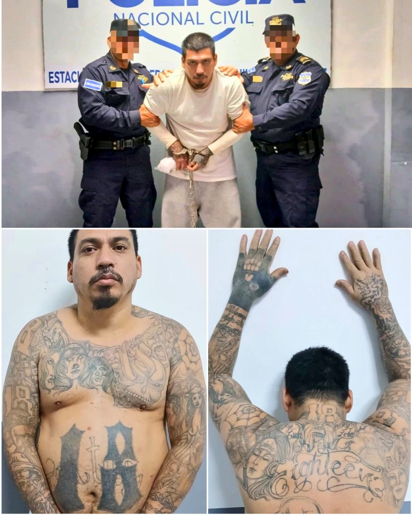 Carlos Ernesto Olivas Orellana, alias “Taltuza”, palabrero de la pandilla 18 Sureños, se fue huyendo del #RégimenDeExcepción y se escondía en México.

Ha sido capturado y repatriado para irse directo al #CECOT. ☺️