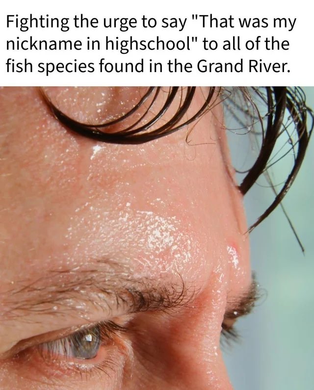 equine__dentist's tweet image. they just go so hard