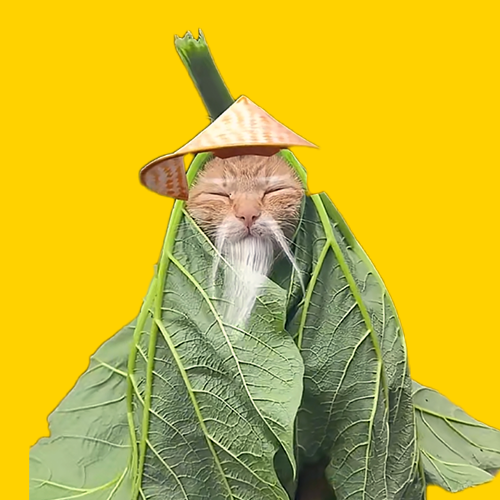 乖乖