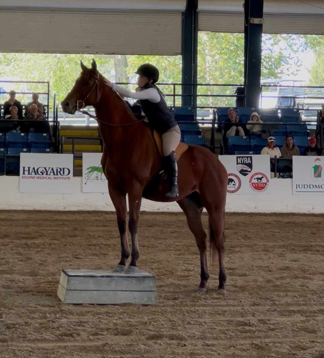 Joe Nevills (@joe_nevills) on Twitter photo A pat from rider Leigha Schrader after an impressive freestyle round aboard Improper, a son of Into Mischief, at the <a href="/RRP_TBMakeover/">Retired Racehorse Project</a>. A pat from rider Leigha Schrader after an impressive freestyle round aboard Improper, a son of Into Mischief, at the <a href="/RRP_TBMakeover/">Retired Racehorse Project</a>.