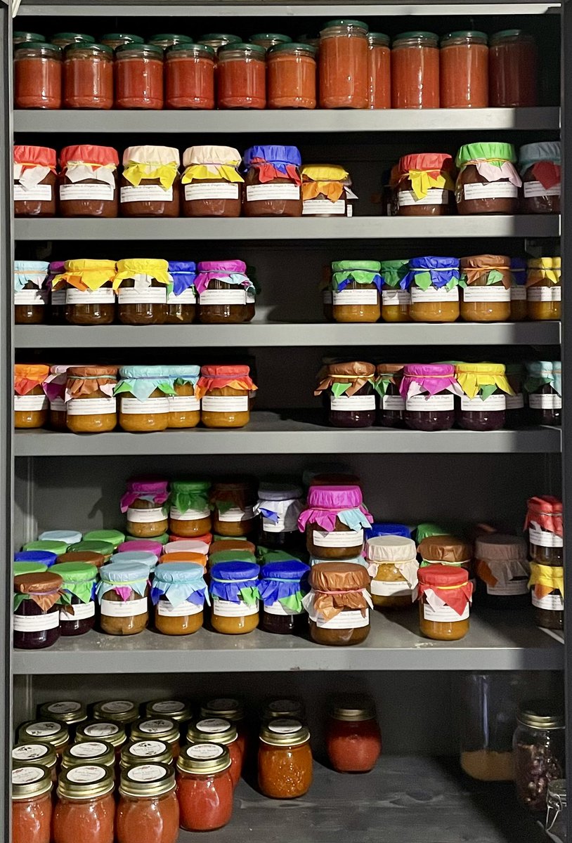 🏳️‍🌈🏳️‍⚧️Micio Pancione🇮🇹🇪🇺 tweet media