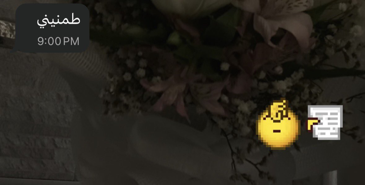 بَتول tweet media