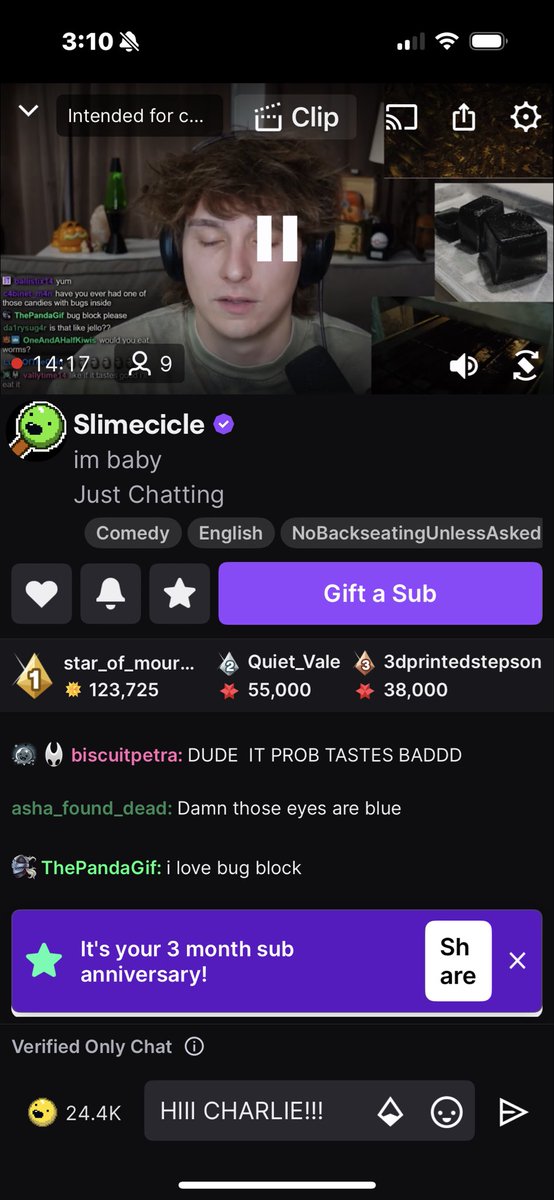 when will slimecicle stream? tweet media