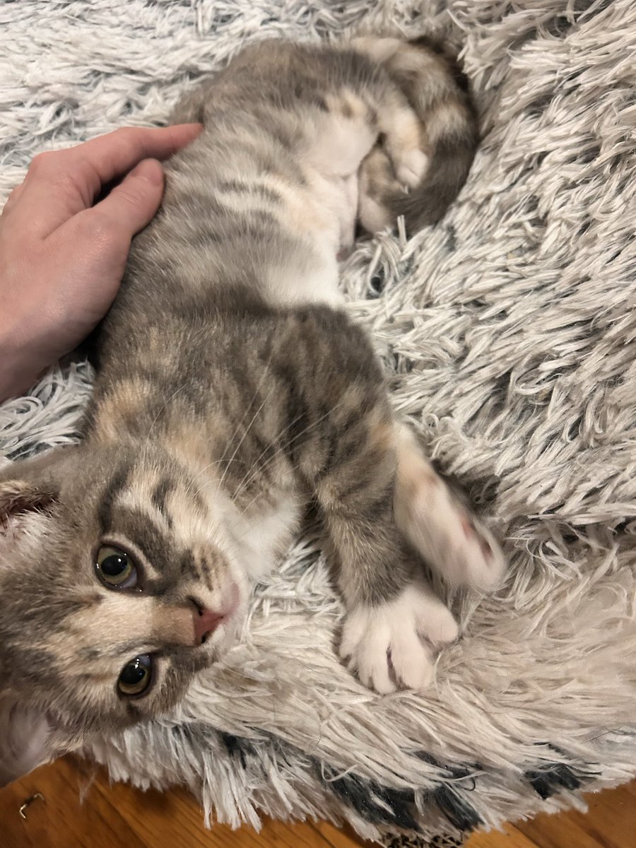 💜💀Kay💀💜 tweet media