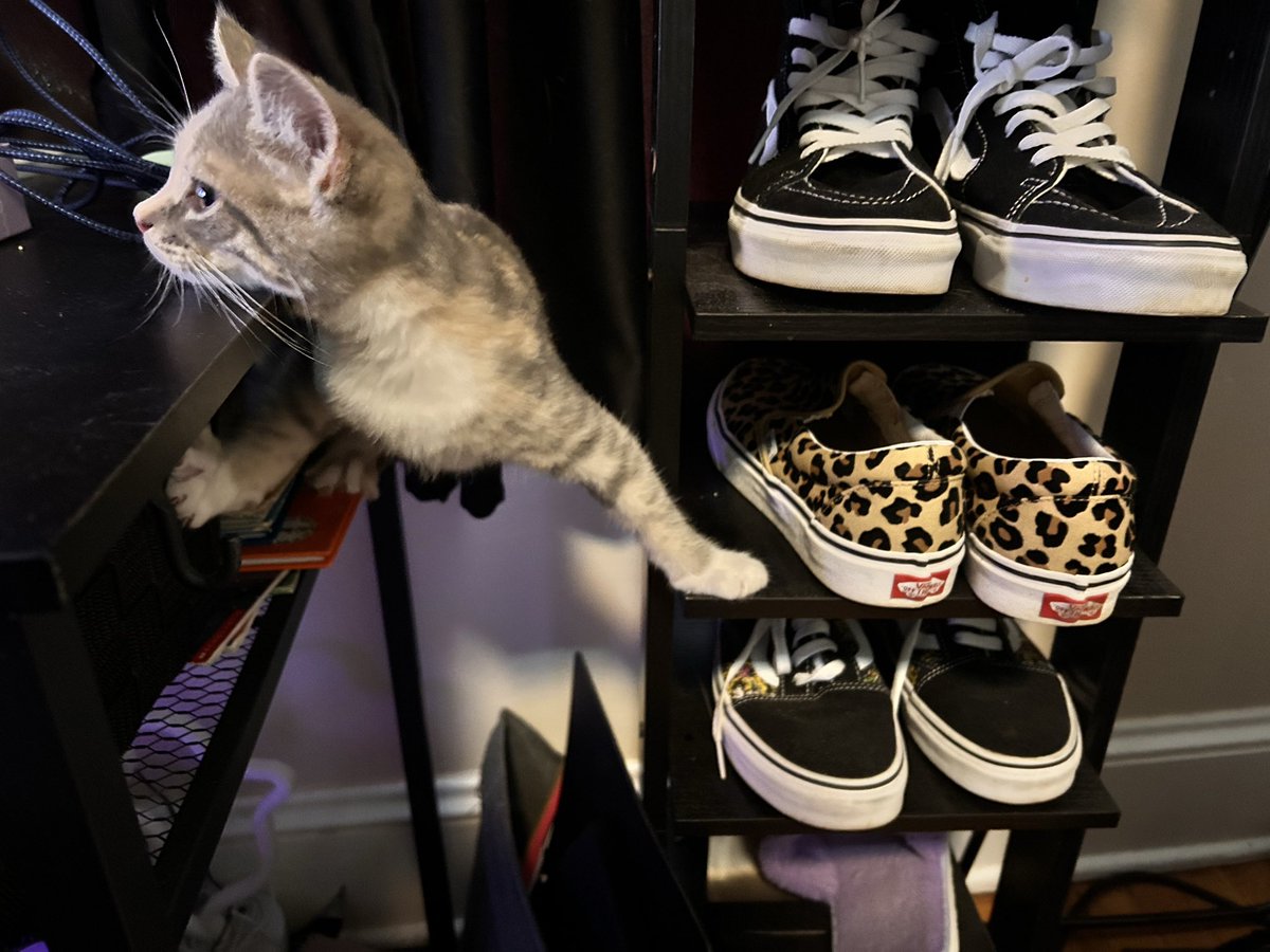 💜💀Kay💀💜 tweet media