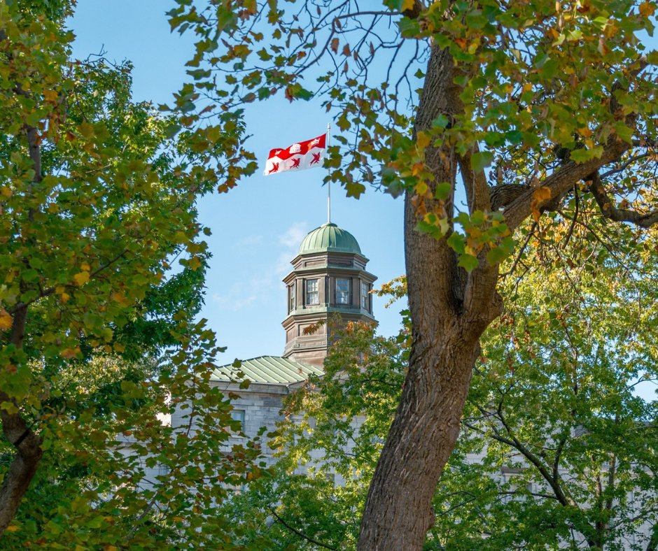 McGill climbs in the Times Higher Education (THE) World University Rankings 🌎

Up four spots to tie for 41st globally and 2nd in Canada, McGill earned its highest-ever score for research, teaching, industry engagement and international outlook.

🔗 mcgill.ca/x/iDo