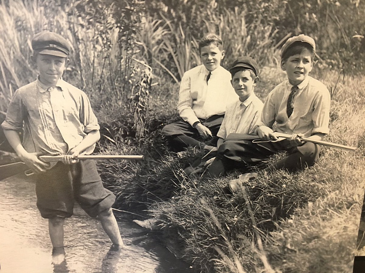 Daisy BB Guns tweet media