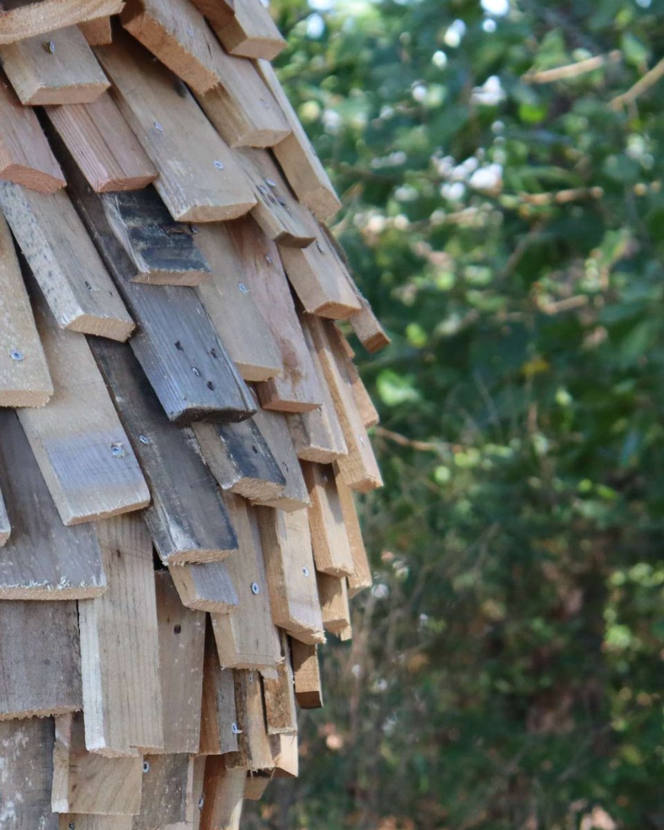 Dix Park tweet media