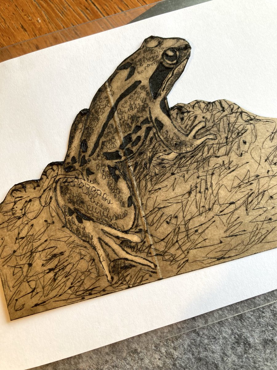 BarlowAlison's tweet image. A little frog collagraph done today. This was etched onto the back of an empty orange juice carton and printed on a press made from a pasta machine. Re-cycling at its best 😁 🐸 #frog #collagraph #handprinted #wonkydogdesign