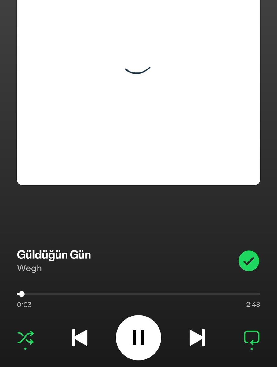 Üstü gelir mi sanmam