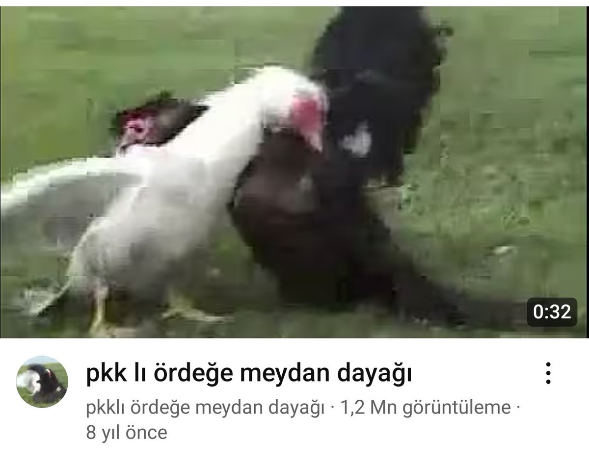 21hamidyasar's tweet photo. @issezerr Yemek yerken izlediğimiz videolar https://t.co/izaNkvxT69