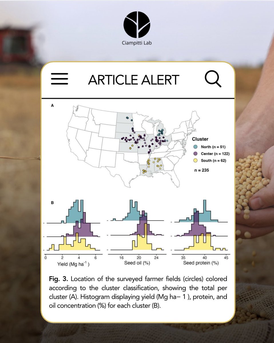 Ciampitti Lab tweet media