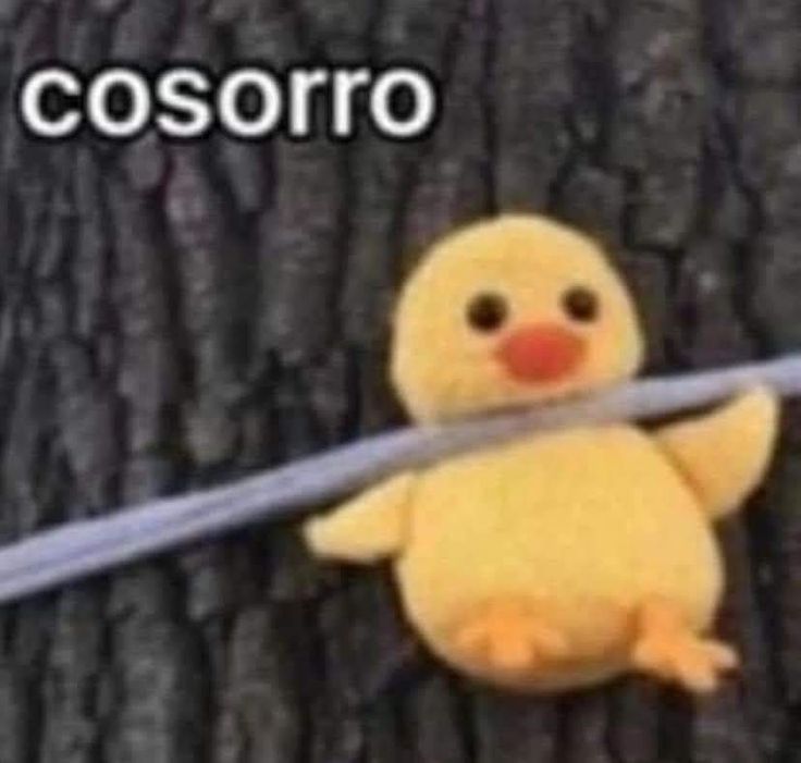 JunCatYo_'s tweet photo. Soy esa cuando nos mandan a prácticas con los endemoniados, amo a los niños pero algunos si me quieren matar 💔 https://t.co/9vpIQF6CR7