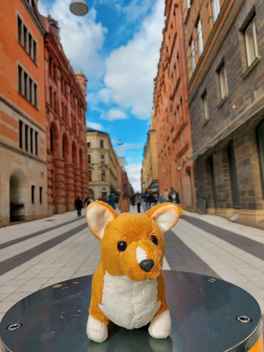 jannn_dk's tweet photo. Si killer sa Stockholm pa nag inarte. https://t.co/Lm8Yt8Fcqp