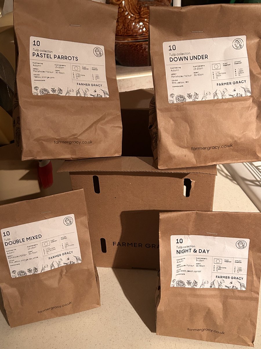 Sally-Anne Ingham tweet media