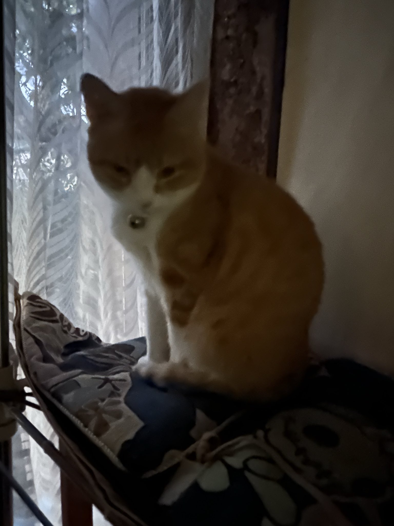 彩愛ページ 彩愛 (@ayame7609) / X