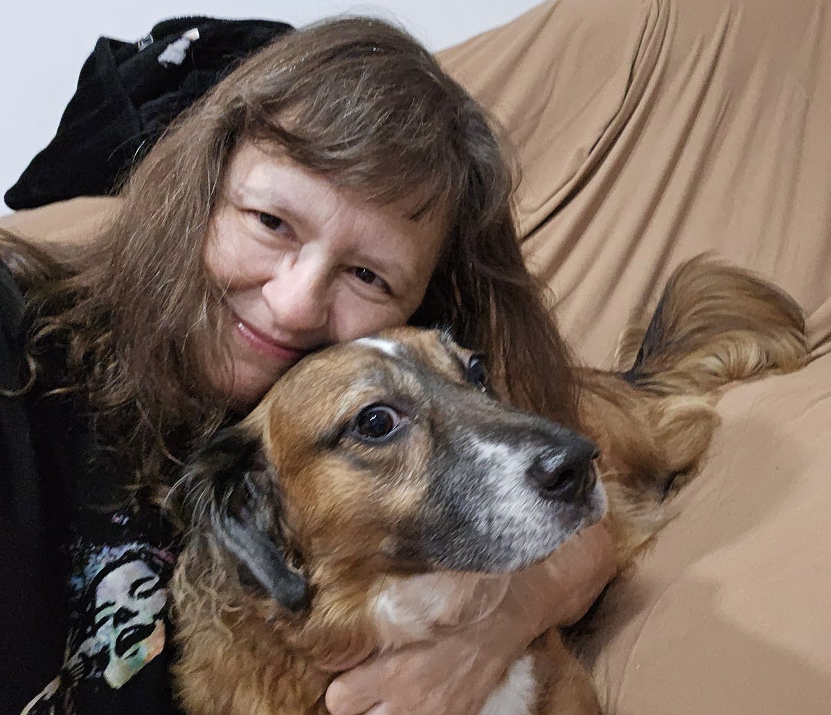 slanoue2016's tweet photo. #Brandy #selfie #dogselfie #dog🐶 #dogs #thatface #thatfacethough😍 #cutie #socute #adorable #doggo #doggy #gooddog #sillydog #mutt #supermutt #rescuedog #adoptdontshop #bassethound #dogsofnewyork #dogsofX #DogsofTwitter🐾 💕 https://t.co/jzqCHBdzFN