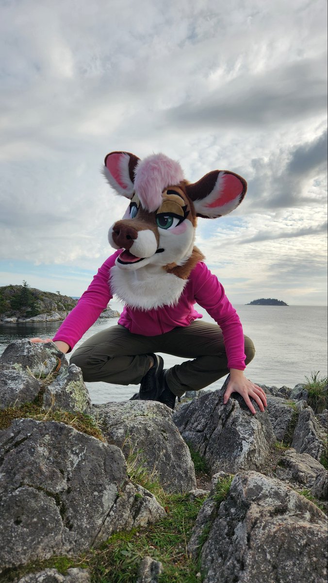 POV you are a little creature and I AM going to scoop you and examine you and identify you 🔎🫵