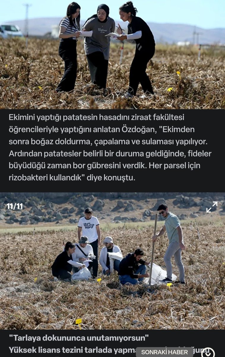eceozdogan19's tweet photo. #yükseklisans https://t.co/BUlePp7mqz